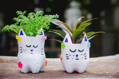 Top 20 Plastic Bottle Flower Pot Design Ideas For An Eco Friendly
