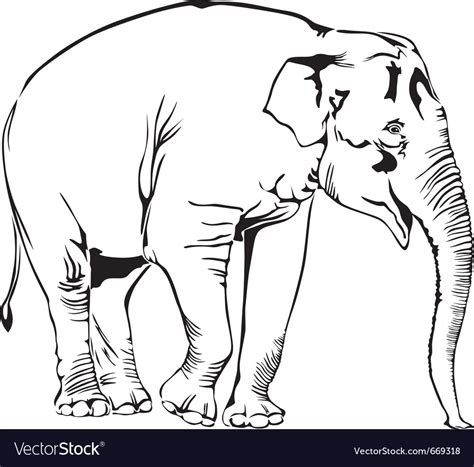 Elephant Royalty Free Vector Image Vectorstock