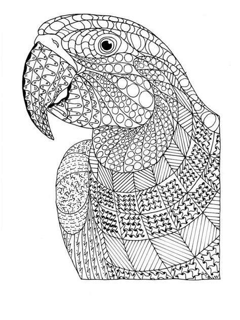 Koalas Coloring Pages Updated 2021 Free Parrot Coloring Pages For