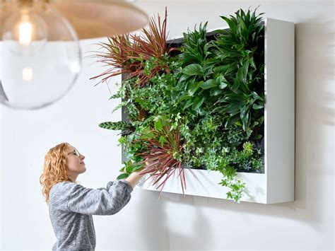 Ofs Living Wall Planter Planters Product