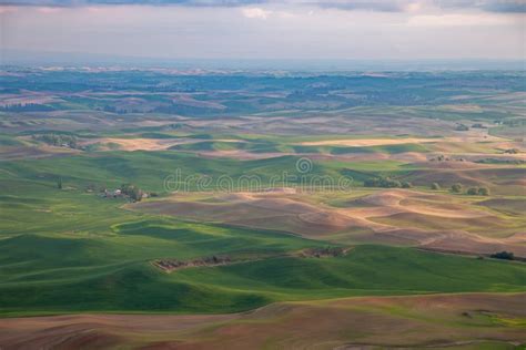 Aerial View Of The Farmland In The Palouse Region Of Eastern Washington