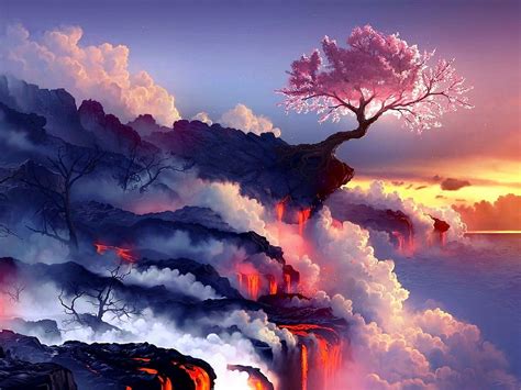 Japan Cherry Tree In Valcano Landscape Wallpaper Volcano