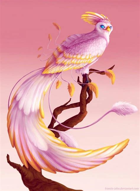 White Phoenix By Francis John Phoenix Artwork Artwork Fantasy Art