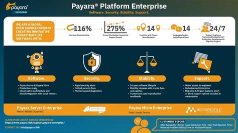 Payara Enterprise Payara Services Ltd