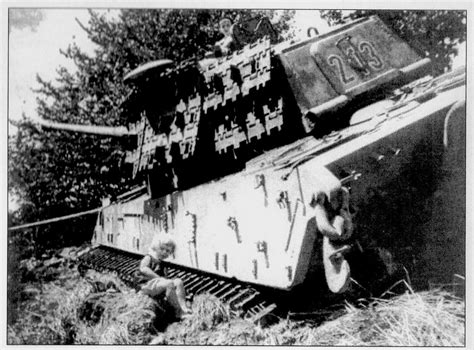 Tiger II S Pz Abt 503 Without Zimmerit And Without Ambush Camo