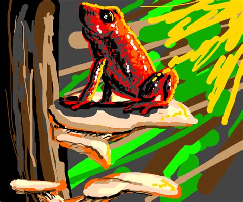 Earth is first seen in the real you but the first time. Frog on mushroom - Drawception