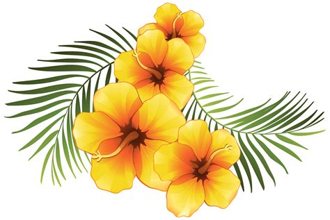 Tropical Flowers Clipart Free Download On Clipartmag