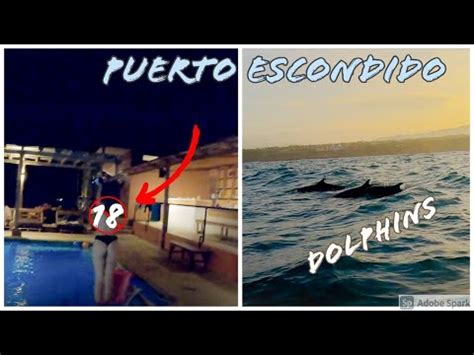 NAKED GIRLS AND DOLPHINS IN PUERTO ESCONDIDO YouTube
