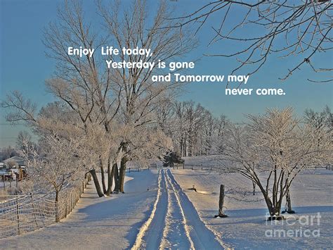 Enjoy Life Today Quote Winter Image Photograph By Stacie Siemsen Pixels