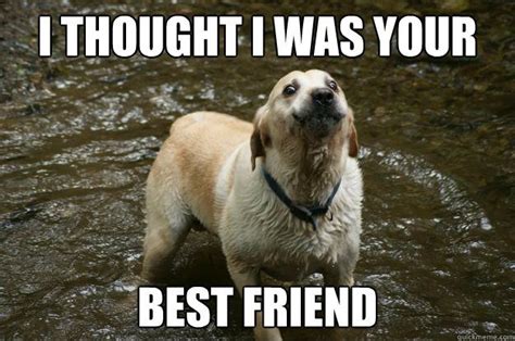 40 Very Funny Best Friend Meme Pictures Images And Photos Picsmine