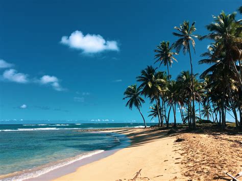 Dominican Republic Holidays 2023 From £691 Loveholidays
