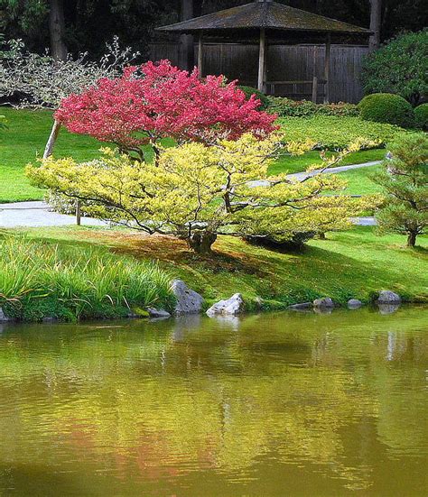 Japanese Garden Scene 2 Photograph By Maro Kentros Fine Art America