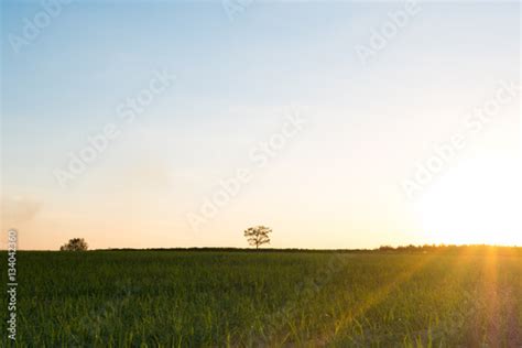 Countryside Meadow And Sunset Skyline With Suns Rays Stock Photo And