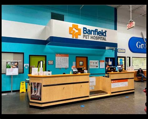 Veterinarians in Castle Rock, CO | Banfield Pet Hospital®