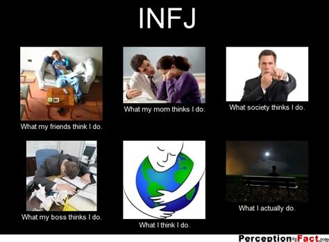 infj what people think i do what i really do perception vs fact