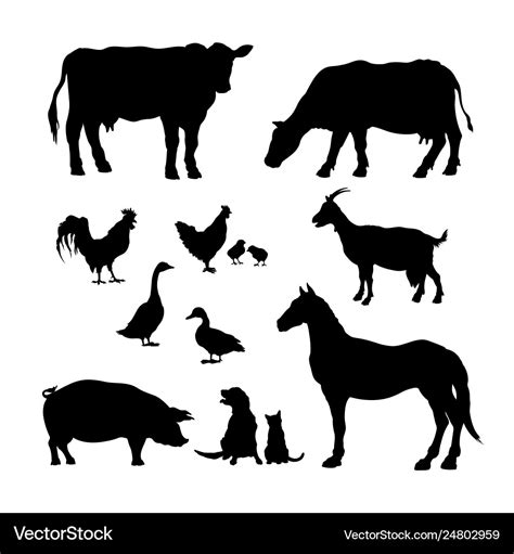 Farm Animals Silhouette Icons Royalty Free Vector Image Images And