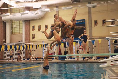Diving In Head First Chs Swimming And Diving Teams Work Together To