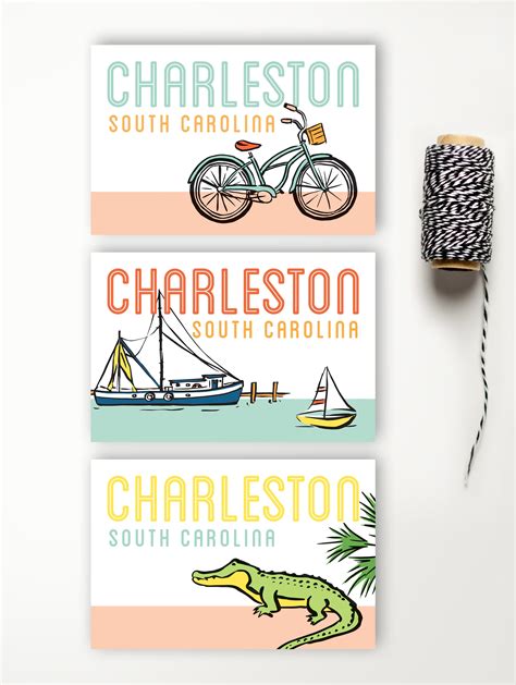 Postcard Charleston Alligator Sightseeing Texture Design Co
