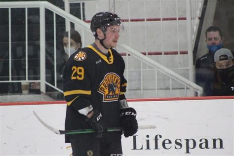 Bruins Prospect Season Review Oskar Steen Black N Gold Hockey
