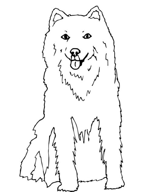 Cute Alaskan Husky Coloring Page Free Printable Coloring Pages For Kids