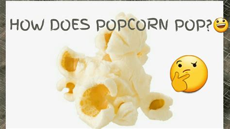 How Popcorn Pops 🤔🤔 Youtube