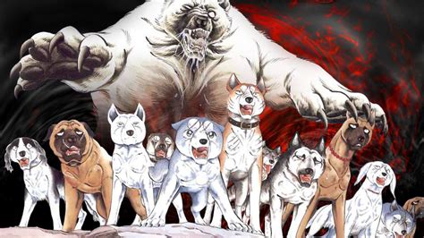 The 10 Best Anime With Animal Protagonists Anime Animation News