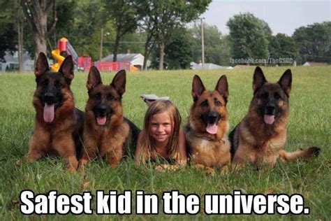 Safest Kid In The Universe German Sheperd Protection Cute Baby