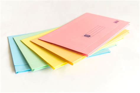 Purchase Wholesale Assorted Colour Lion File brand Pocket File (144 