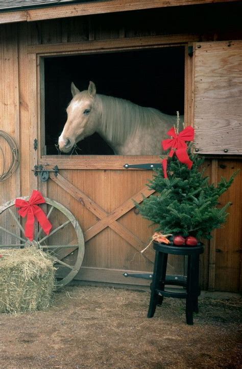 Horse In Barn Door Even Four Footed Creatures Celebrate Christmas