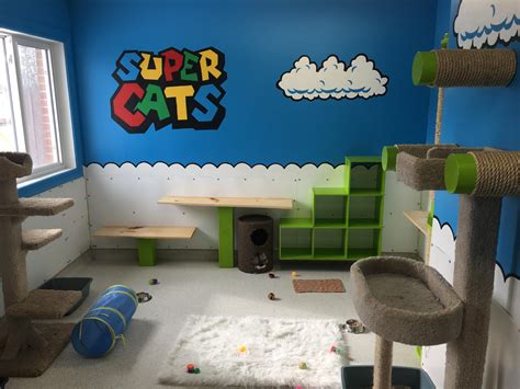 My Local Animal Shelter Renovated Their Cat Room Gaming