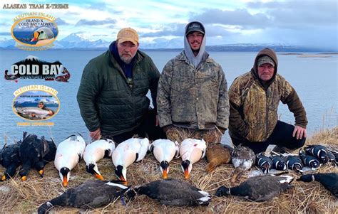 Aiw2 Copy Alaska Duck Hunting King Eider Hunting