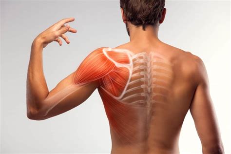 What Is The Most Common Way To Dislocate Your Shoulder