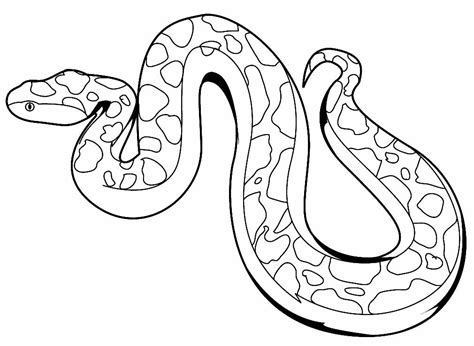 Desenhos De Cobra Para Colorir Pop Lembrancinhas