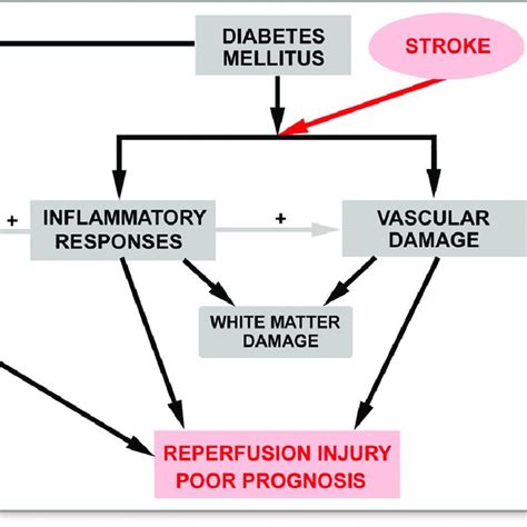 Diabetes And Stroke Pathophysiology Diabeteswalls