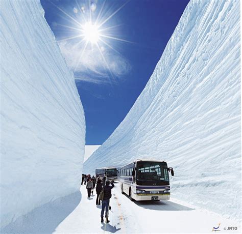 Sky High Snow Walls Dwarf A Bus Along The Tateyama Kurobe Alpine Route
