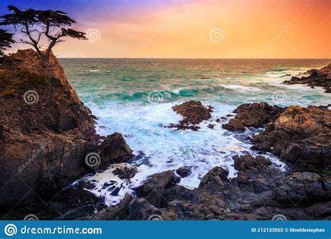 The Lone Cypress At Sunset From The 17 Mile Drive In Pebble Beach