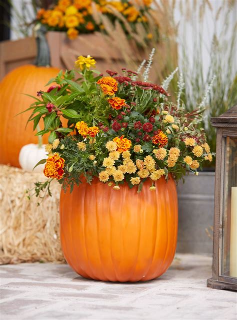5 Outdoor Fall Decor Ideas To Showcase Through Thanksgiving Fall
