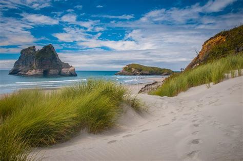 Dune Vegetation At Famous Wharariki Beach South Island New Zealand