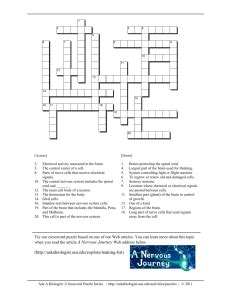 If you're still haven't solved the crossword clue bones, in anatomy then why not search our database by the letters you have already! Human Skeleton Anatomy Activity