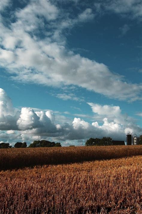 1000 Engaging Wheat Field Photos · Pexels · Free Stock Photos Wheat