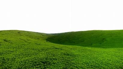 Grass Field Background Hill Transparent Grim 3d