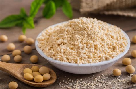 Isolated Organic Soy Protein Z Company Natural Health Food