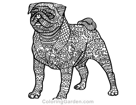 Free Printable Pug Adult Coloring Page Download It In Pdf Format At