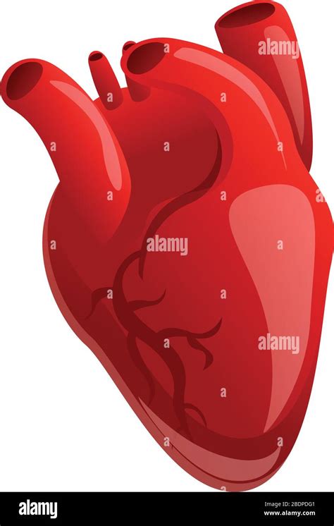 Cardiac Human Heart Icon Cartoon Of Cardiac Human Heart Vector Icon
