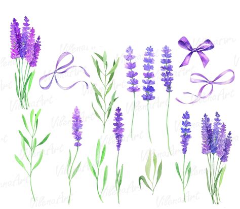 Watercolor Lavender Clipart Butterflies Clip Art Flower Purple Rustic