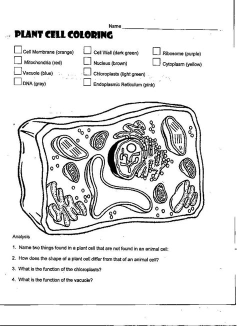 We did not find results for: 43 best Plant and Animal Cells images on Pinterest ...