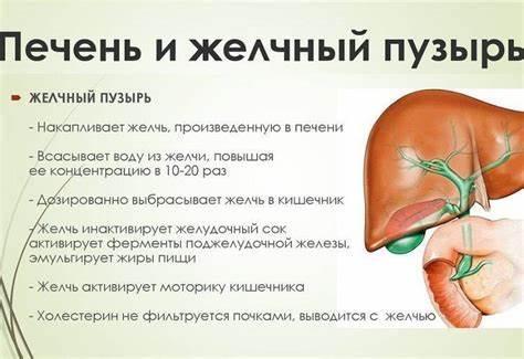 Диете после удаления желчного пузыря