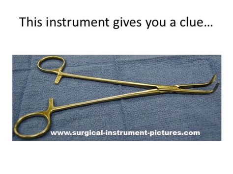 Surgical Instruments Quiz Flashcards Quizlet