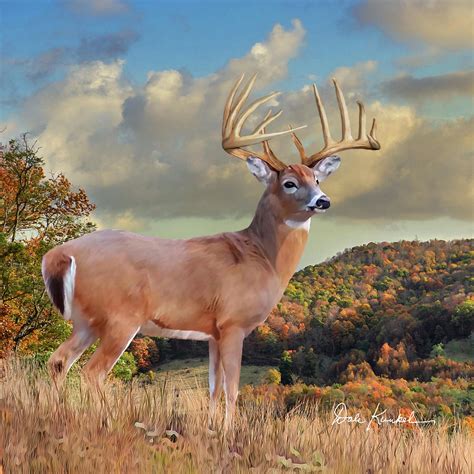 Whitetail Deer Art Squares Autumn Majesty Painting By Dale Kunkel Art