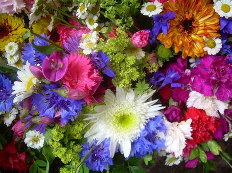 Jigsaw puzzles provide hours of entertainment for whole family from kids to adults. Flowers jigsaw puzzle in Puzzle of the Day puzzles on ...